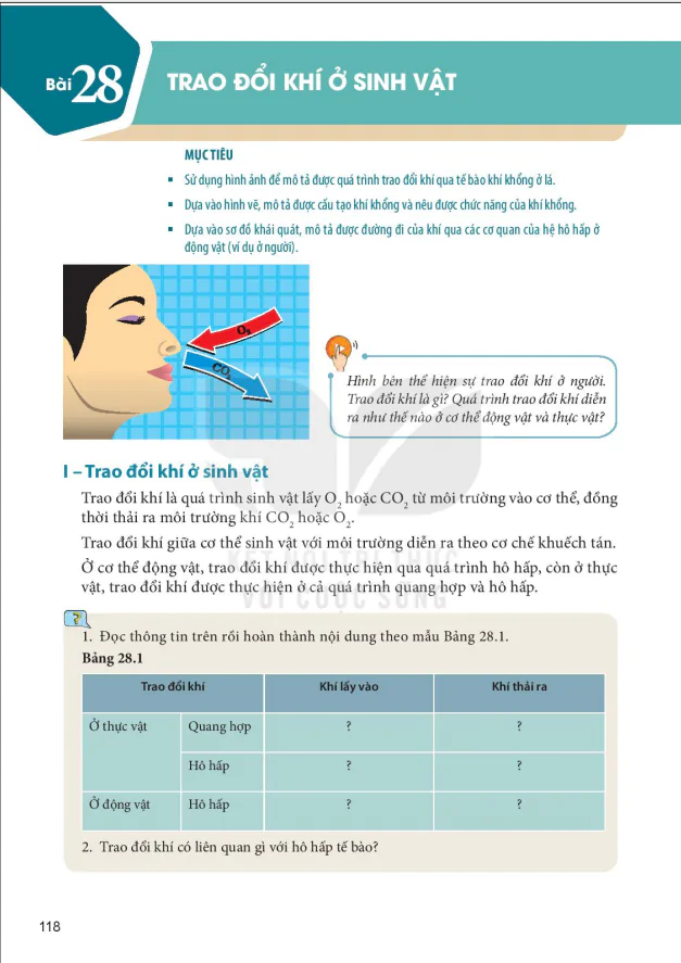 Bài 28: TRAO ĐỔI KHÍ Ở SINH VẬT