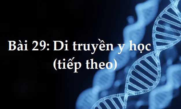 Bài 29: Di truyền y học (tiếp theo)