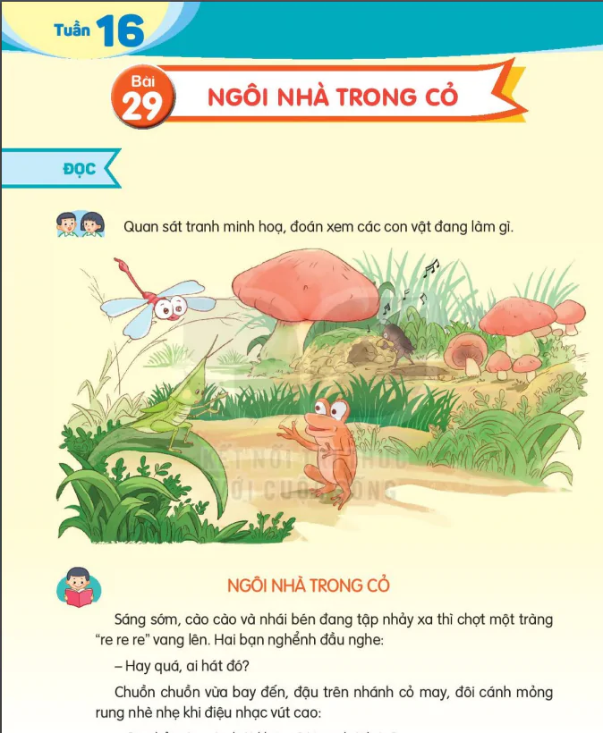 BÀI 29 NGÔI NHÀ TRONG CỎ