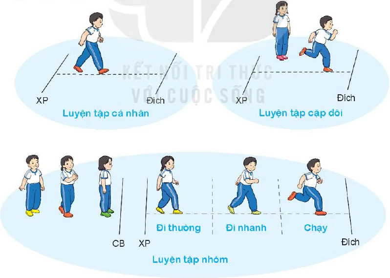 Bài 3. Bài tập phối hợp di chuyển nhanh dần theo vạch kẻ thẳng