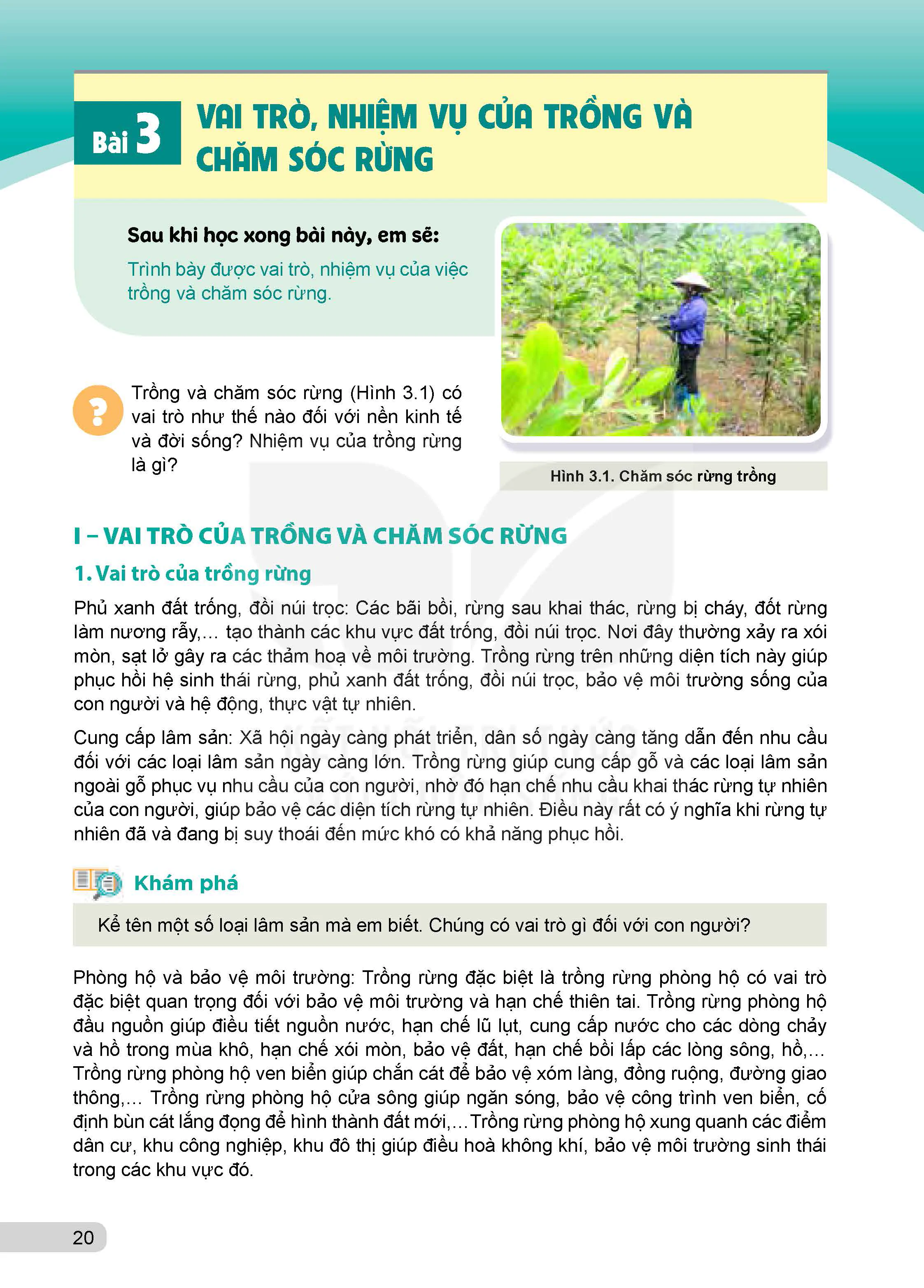 Bài 3: Vai trò, nhiệm vụ của trồng và chăm sóc rừng 