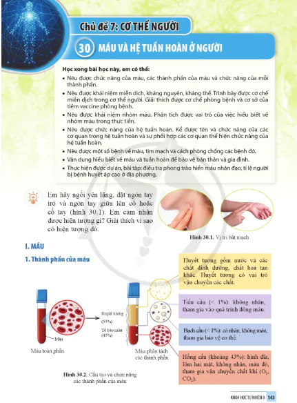 Bài 30: Máu và hệ tuần hoàn ở người