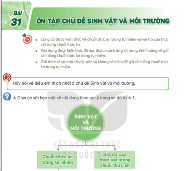 Bài 31. Ôn Tập Chủ Đề Sinh Vật Và Môi Trường