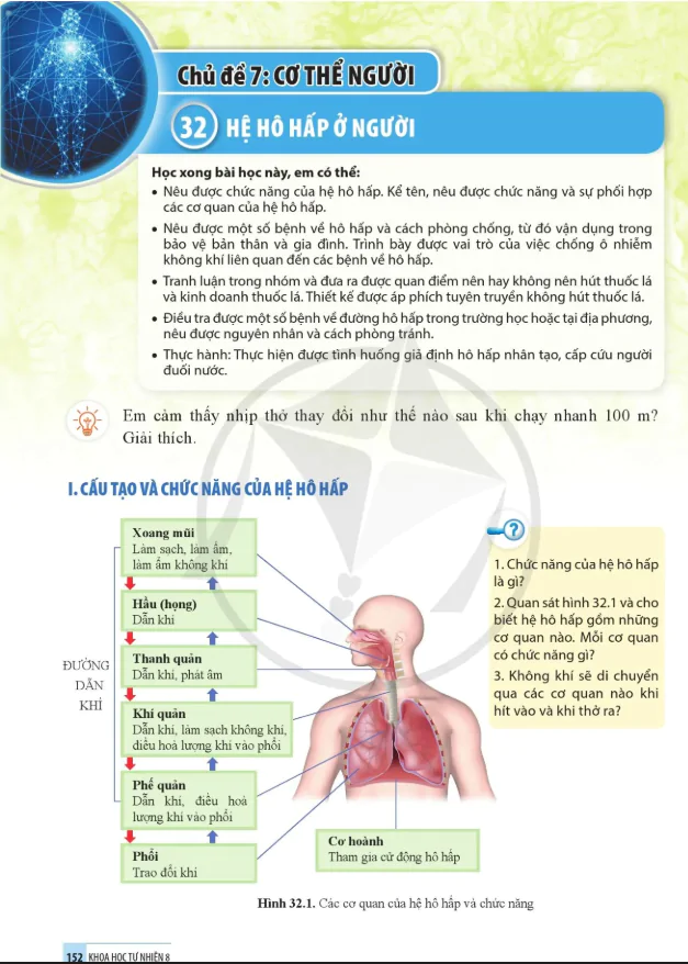 Bài 32: Hệ hô hấp ở người