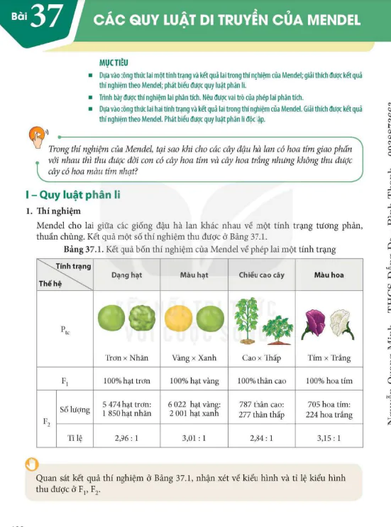 Bài 37. Các quy luật di truyền của Mendel