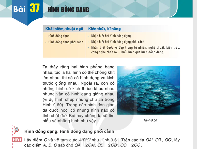 Bài 37: Hình đồng dạng