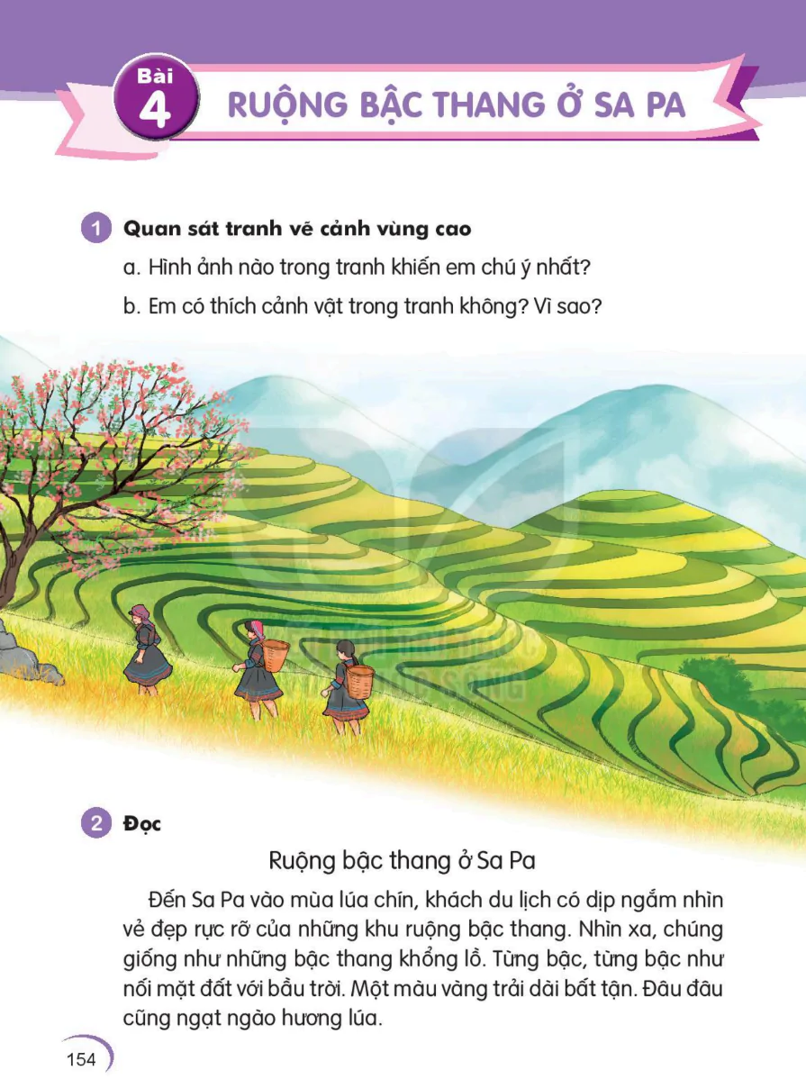 Bài 4: Ruộng Bậc Thang Ở Sa Pa