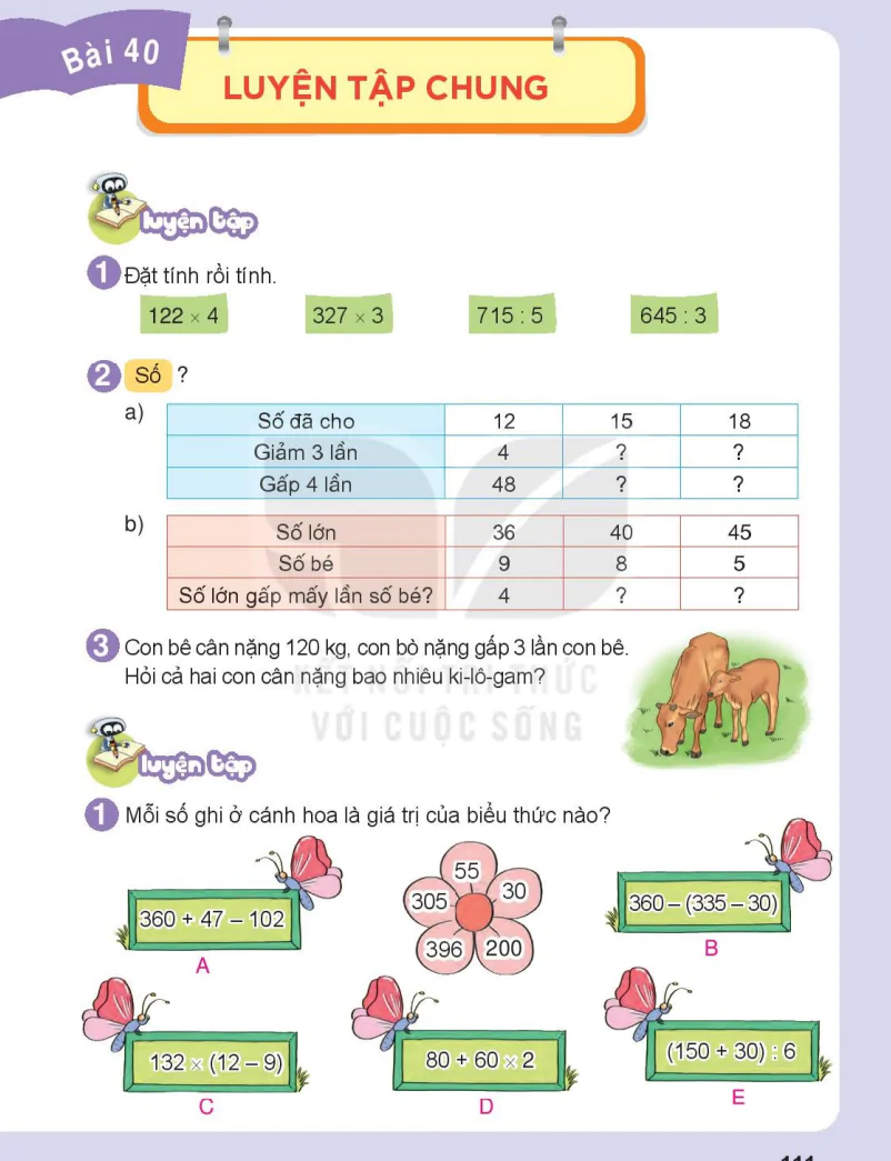 Bài 40: Luyện Tập Chung