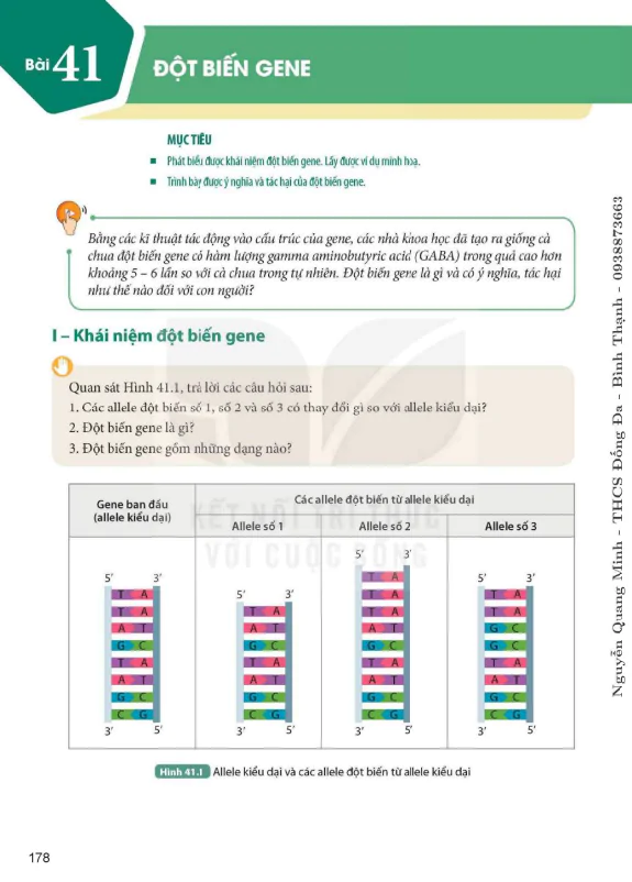 Bài 41. Đột biến gene