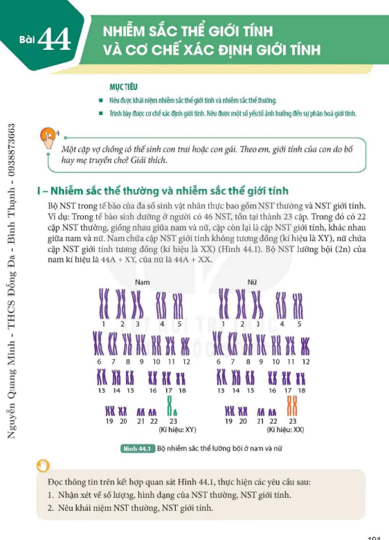 Bài 44. Nhiễm sắc thể giới tính và cơ chế xác định giới tính
