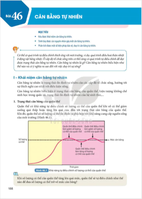 Bài 46 : Cân bằng tự nhiên