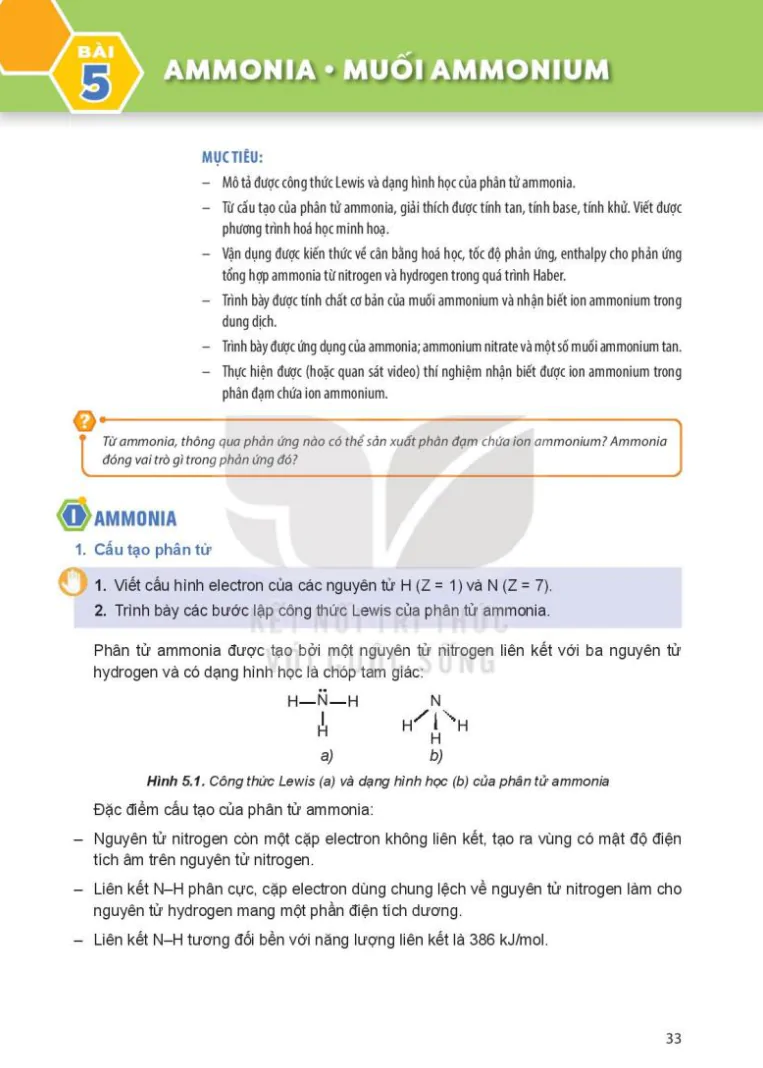 Bài 5: Ammonia. Muối ammonium