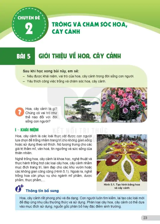 Bài 5: Giới Thiệu Về Hoa, Cây Cảnh
