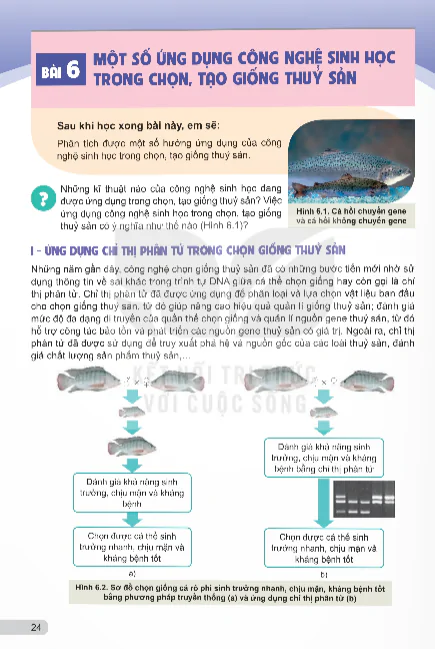 Bài 6: Một Số Ứng Dụng Công Nghệ Sinh Học Trong Chọn, Tạo Giống Thủy Sản
