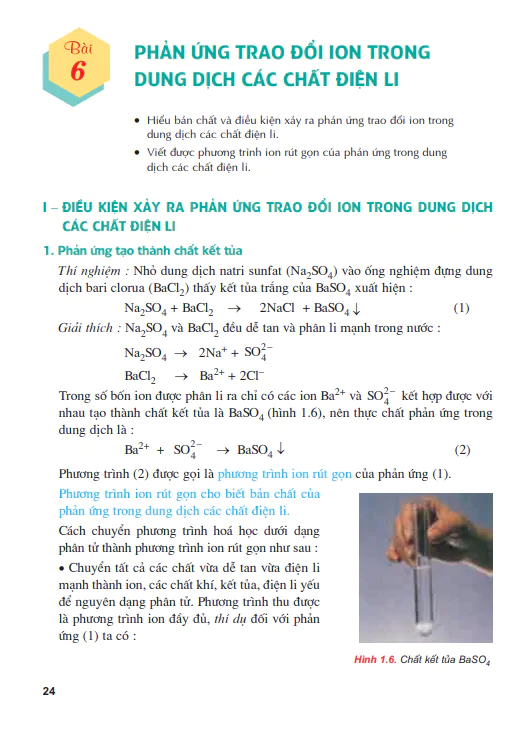 Bài 6: Phản ứng trao đổi ion trong dung dịch các chất điện li