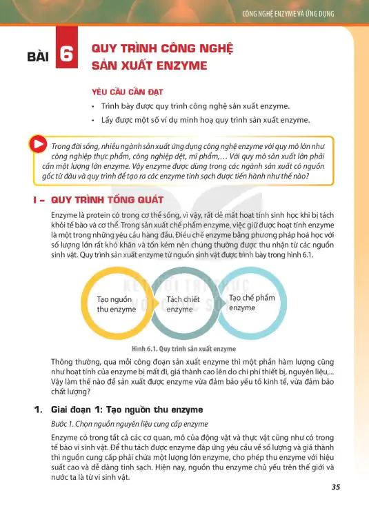 Bài 6: Quy Trình Công Nghệ Sản Xuất Enzyme