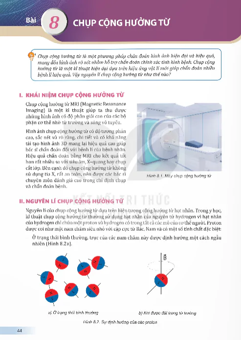 Bài 8: Chụp Cộng Hưởng Từ
