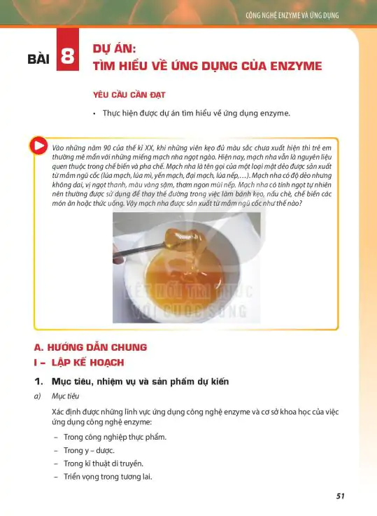 Bài 8: Dự án: Tìm Hiểu Về Ứng Dụng Enzyme
