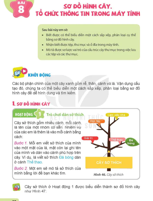 BÀI 8: SƠ ĐỒ HÌNH CÂY. TỔ CHỨC THÔNG TIN TRONG MÁY TÍNH