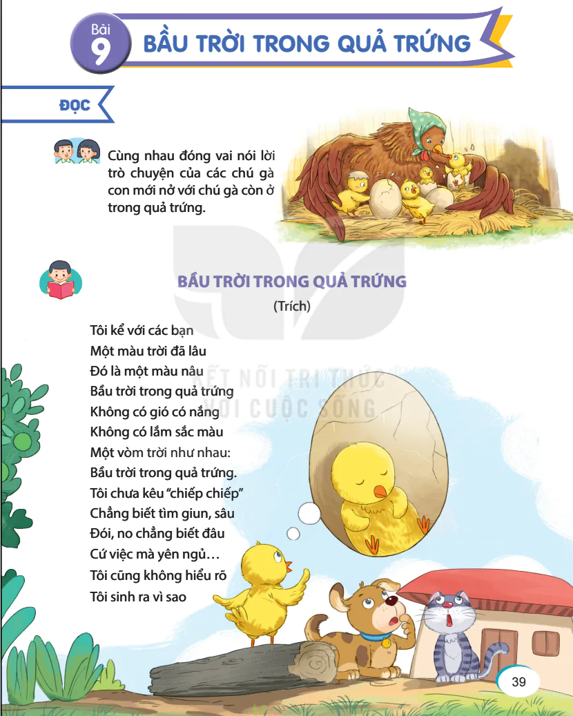 Bài 9: Bầu Trời Trong Quả Trứng