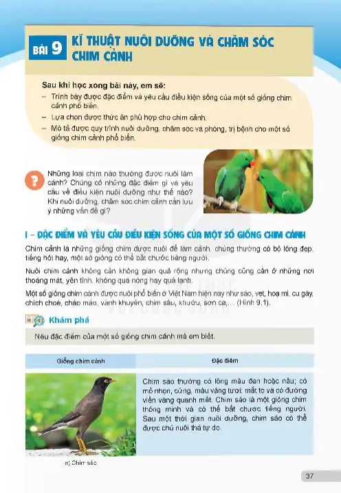 Bài 9: Kĩ Thuật Nuôi Dưỡng Và Chăm Sóc Chim Cảnh