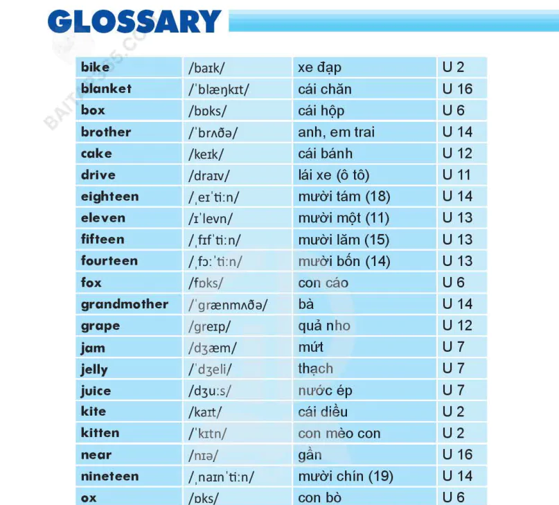 Glossary