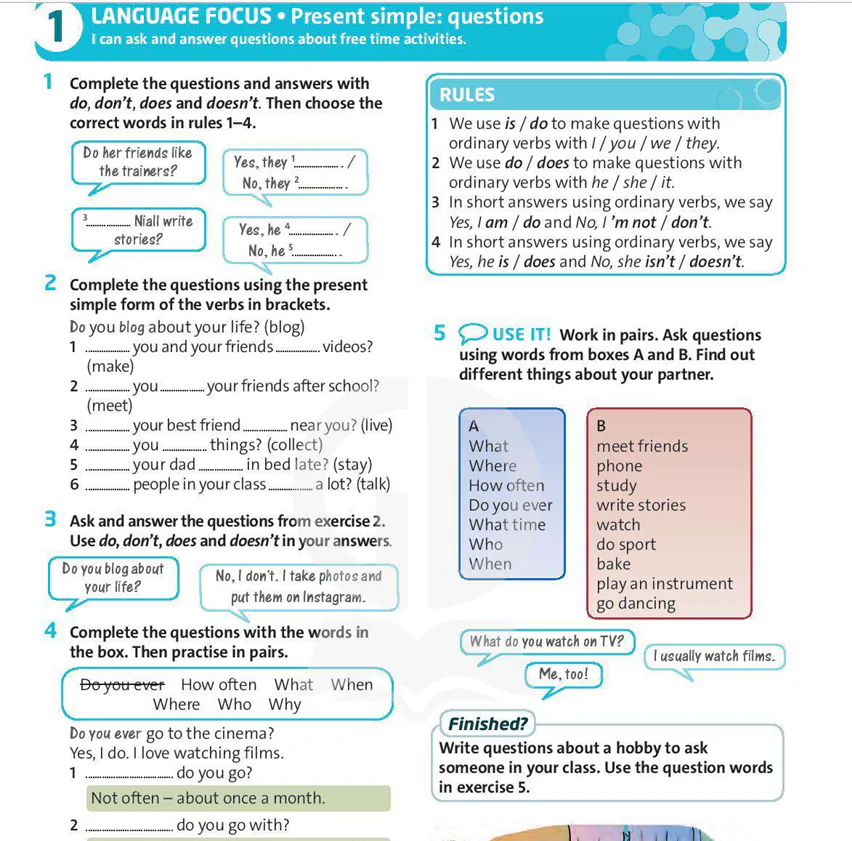 Language Focus: Present simple: questions