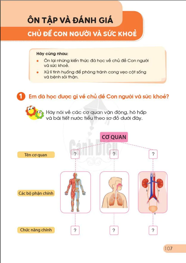 ÔN TẬP VÀ ĐÁNH GIÁ: CHỦ ĐỀ CON NGƯỜI VÀ SỨC KHỎE