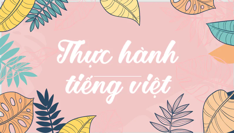 Thực hành tiếng Việt (trang 13)