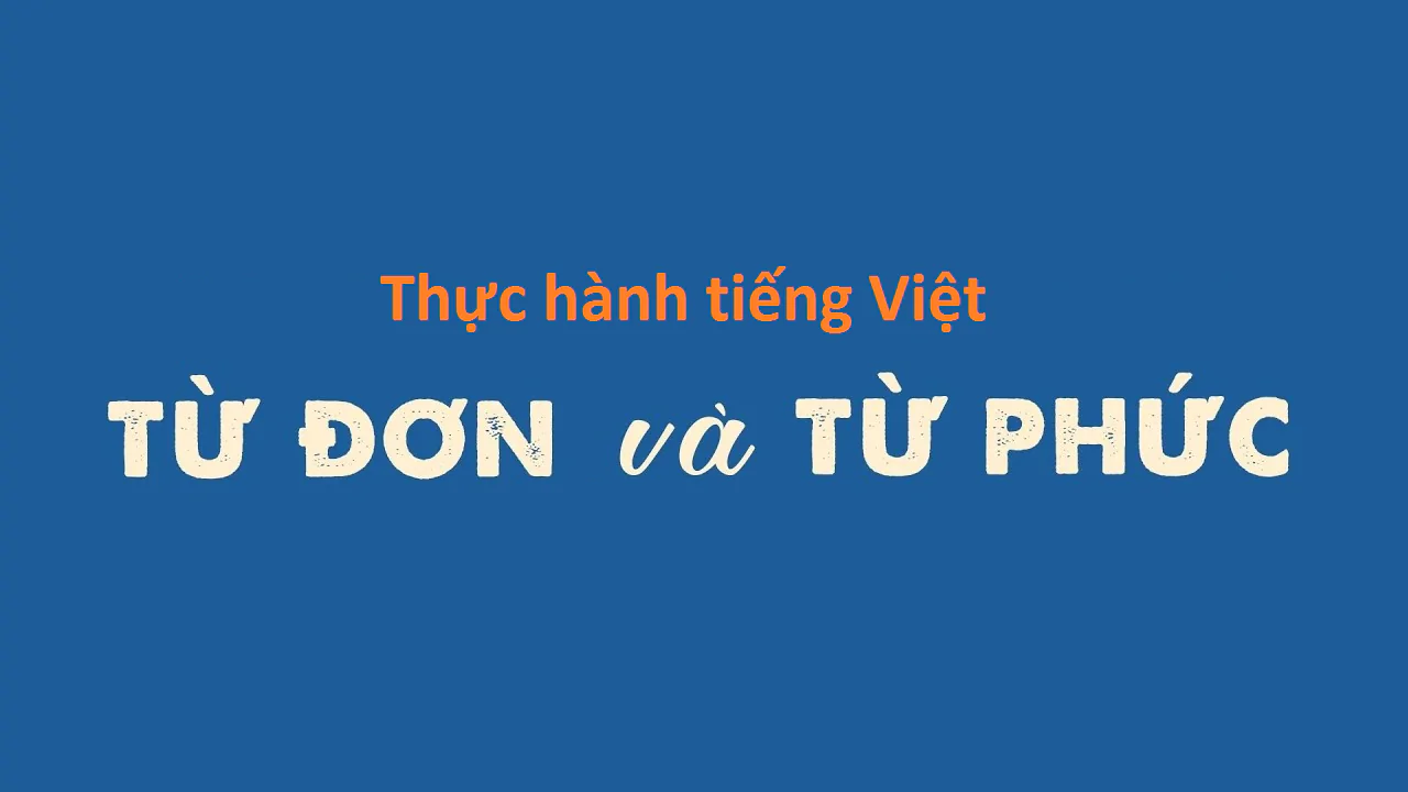 Thực hành tiếng Việt (trang 20)