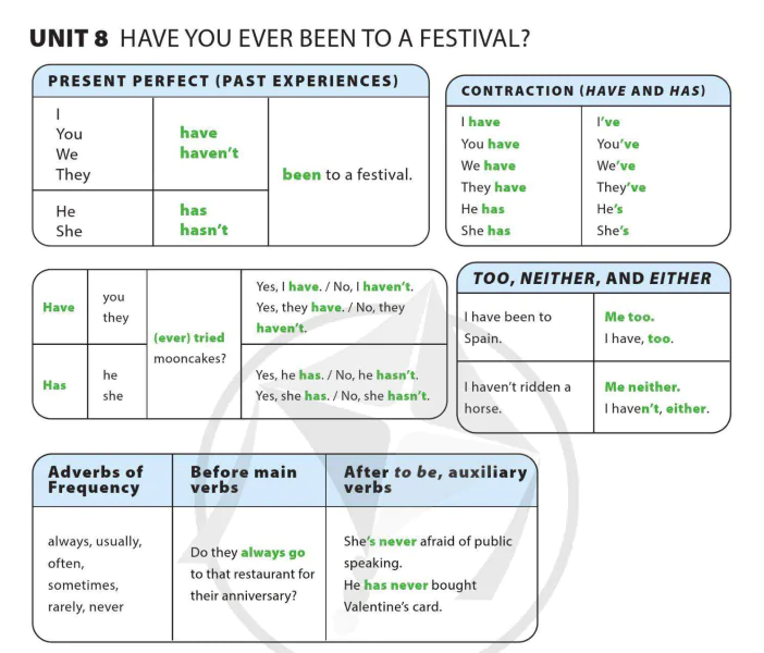 Unit 8: Have you ever been to a festival?