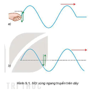 hinh-anh-bai-9-song-ngang-song-doc-su-truyen-nang-luong-cua-song-co-3615-0