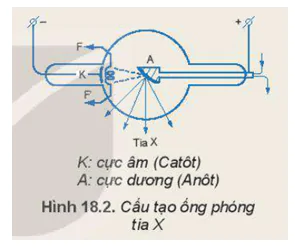 hinh-anh-bai-18-dien-truong-deu-3627-0