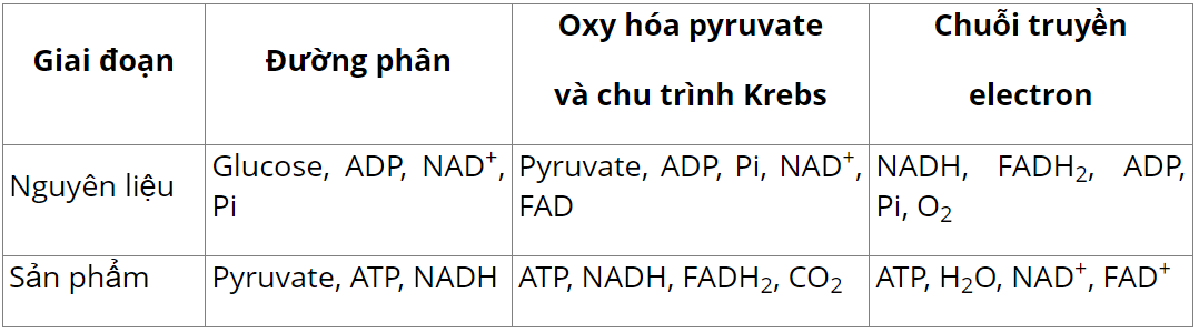 hinh-anh-bai-6-ho-hap-o-thuc-vat-3647-0