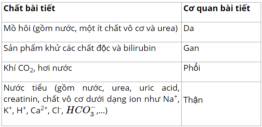 hinh-anh-bai-13-bai-tiet-va-can-bang-noi-moi-3655-0