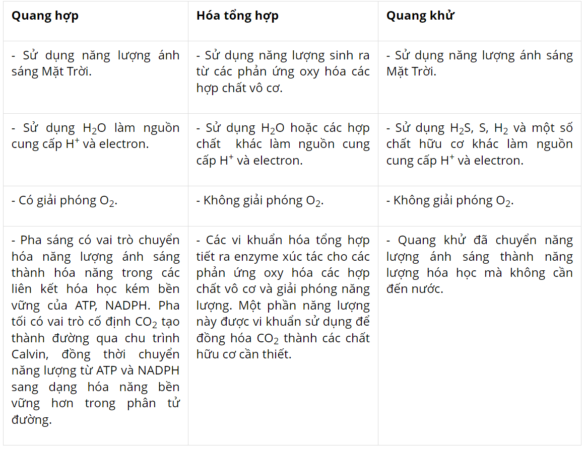 hinh-anh-bai-14-phan-giai-va-tong-hop-cac-chat-trong-te-bao-3725-0