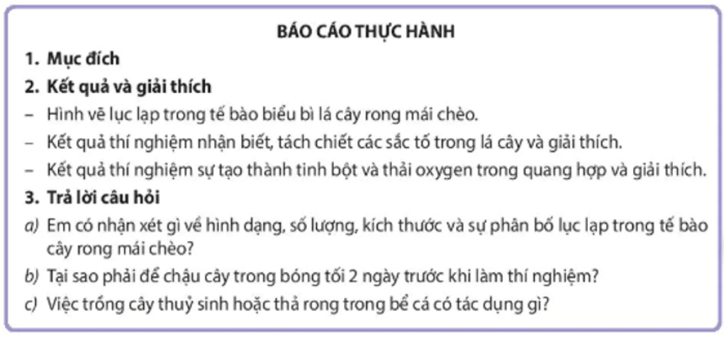 hinh-anh-bai-5-thuc-hanh-quang-hop-o-thuc-vat-3523-0