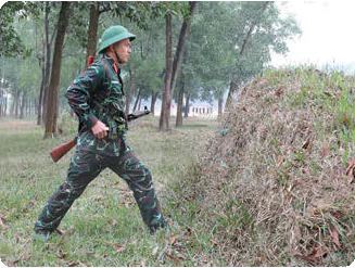 hinh-anh-bai-10-ki-thuat-su-dung-luu-dan-13295-7