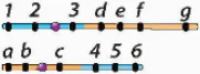 hinh-anh-bai-12-dot-bien-nhiem-sac-the-12947-7