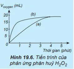 hinh-anh-bai-19-toc-do-phan-ung-3772-12