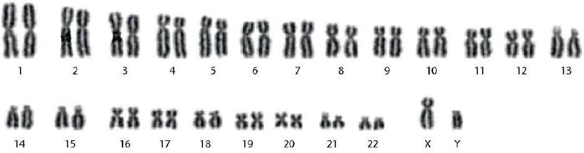 hinh-anh-bai-13-di-truyen-hoc-nguoi-va-di-truyen-y-hoc-12953-7