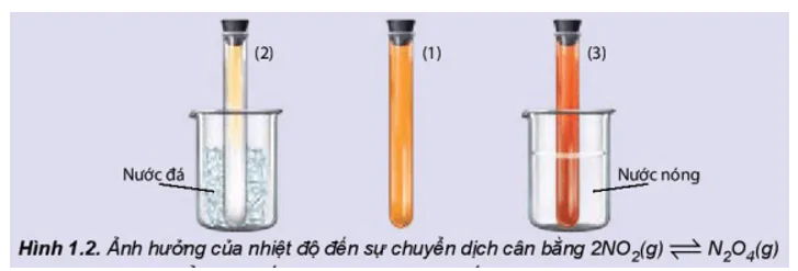 hinh-anh-bai-1-khai-niem-ve-can-bang-hoa-hoc-3471-13