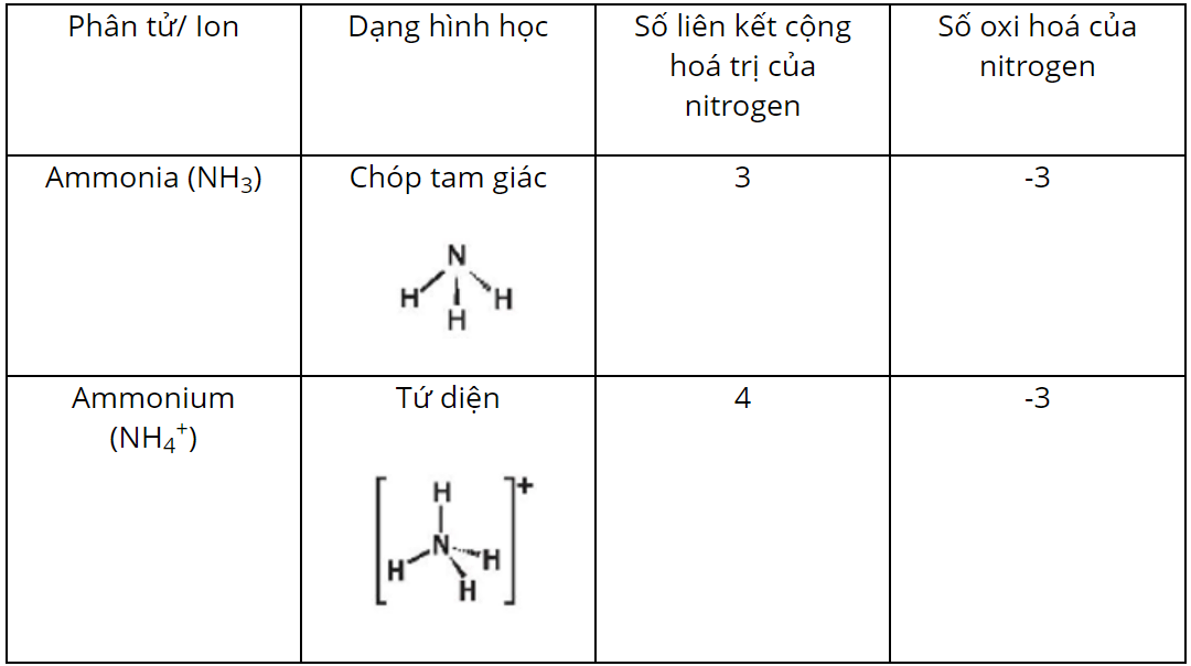 hinh-anh-bai-5-ammonia-muoi-ammonium-3678-13