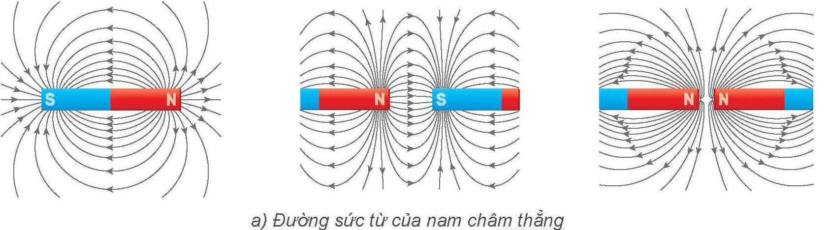 hinh-anh-bai-14-tu-truong-13611-14