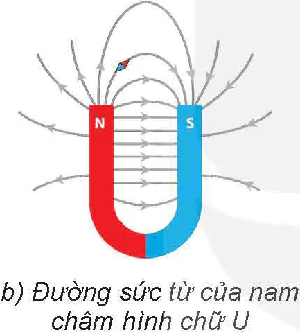 hinh-anh-bai-14-tu-truong-13611-15