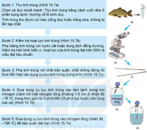 hinh-anh-bai-15-ung-dung-cong-nghe-sinh-hoc-trong-chon-va-nhan-giong-thuy-san-12255-11