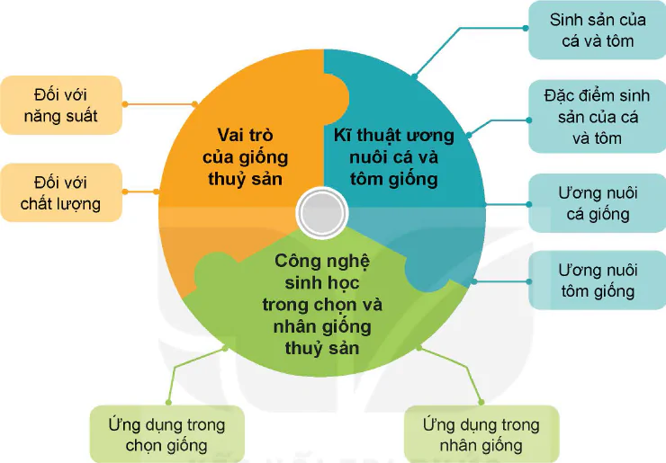 hinh-anh-on-tap-chuong-vi-12256-0