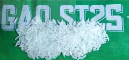 hinh-anh-bai-16-tuong-tac-giua-kieu-gene-voi-moi-truong-va-thanh-tuu-chon-giong-12977-2