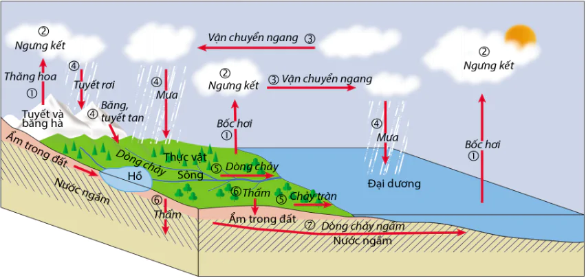 hinh-anh-bai-17-cac-thanh-phan-chu-yeu-cua-thuy-quyen-tuan-hoan-nuoc-tren-trai-dat-10696-1