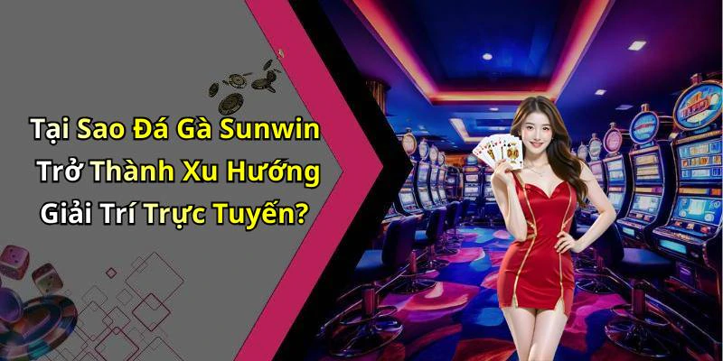 hinh-anh-da-ga-sunwin-trai-nghiem-dang-cap-trong-giai-tri-truc-tuyen-800-1